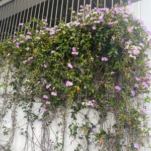 Meet your Posher, Tu